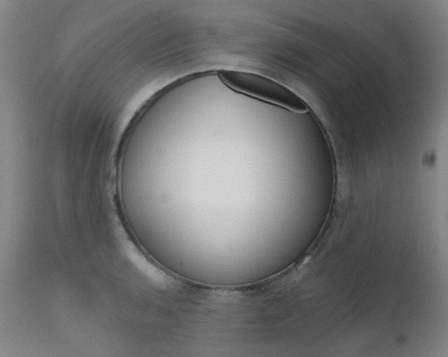 X0000111621136200907171058
