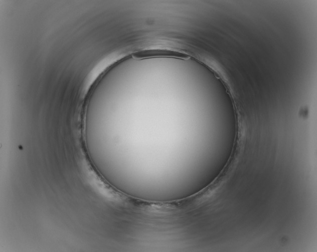 X0000111621138200907171058