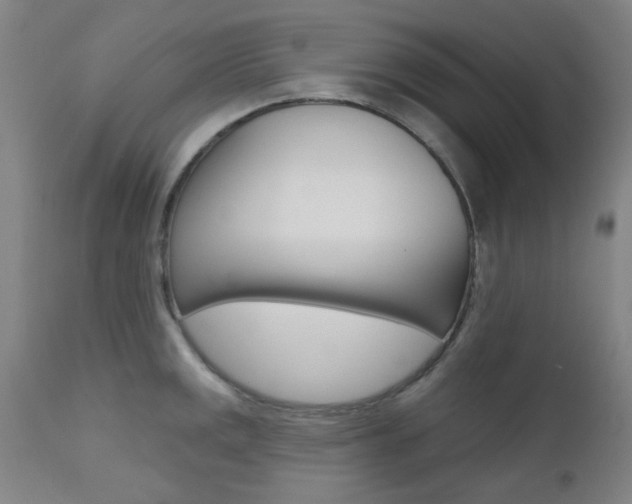 X0000111621141200907171058