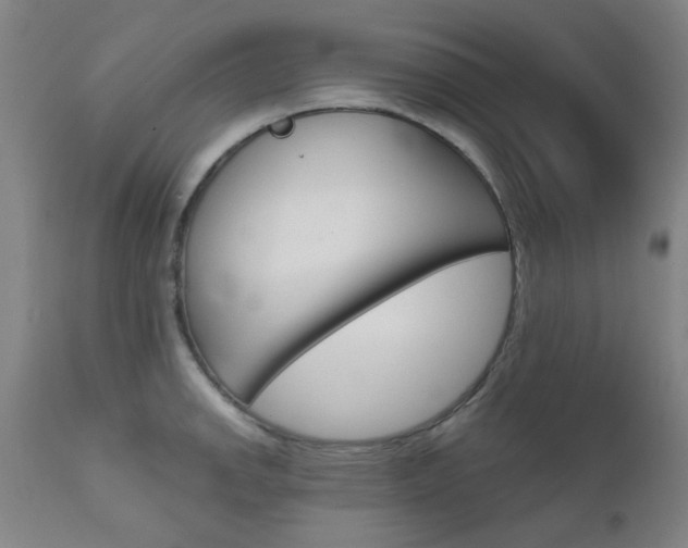 X0000111621142200907171058