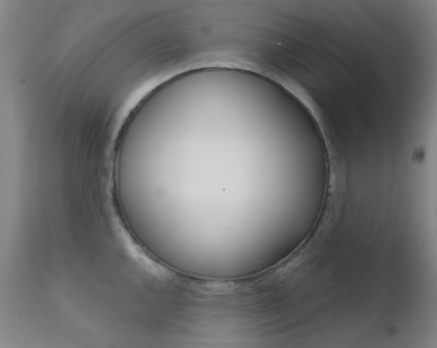 X0000111621144200907171058
