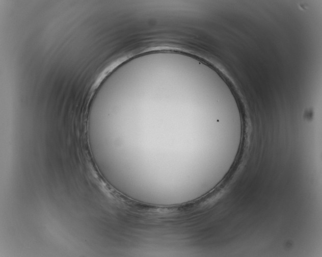 X0000111621145200907171058