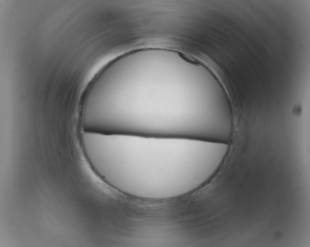 X0000111621147200907171058