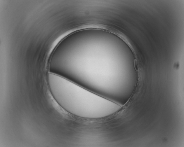 X0000111621148200907171058