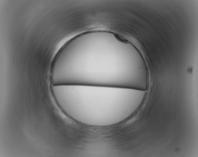 X0000111621149200907171058
