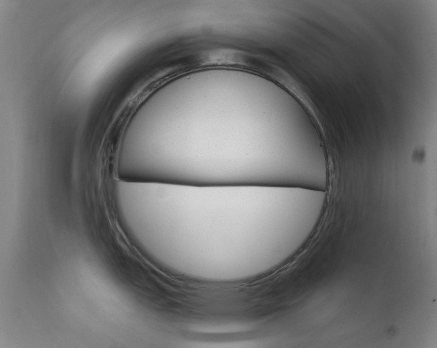 X0000111621151200907171058