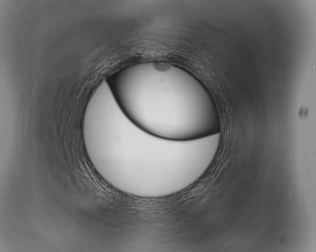 X0000111621153200907171057