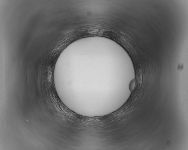 X0000111621154200907171057