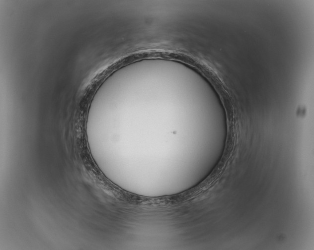 X0000111621159200907171057