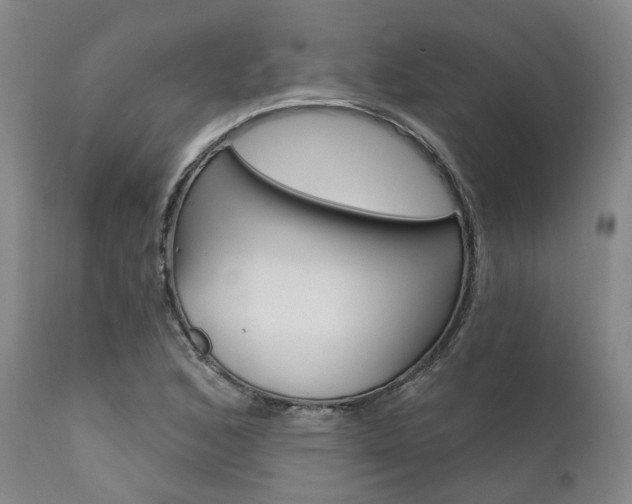 X0000111621168200907171057
