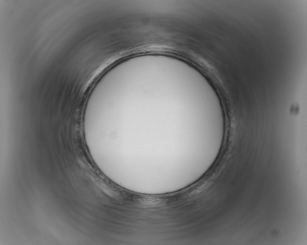 X0000111621170200907171057