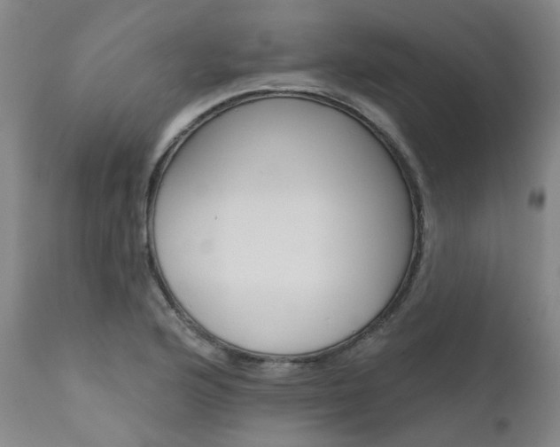 X0000111621176200907171057