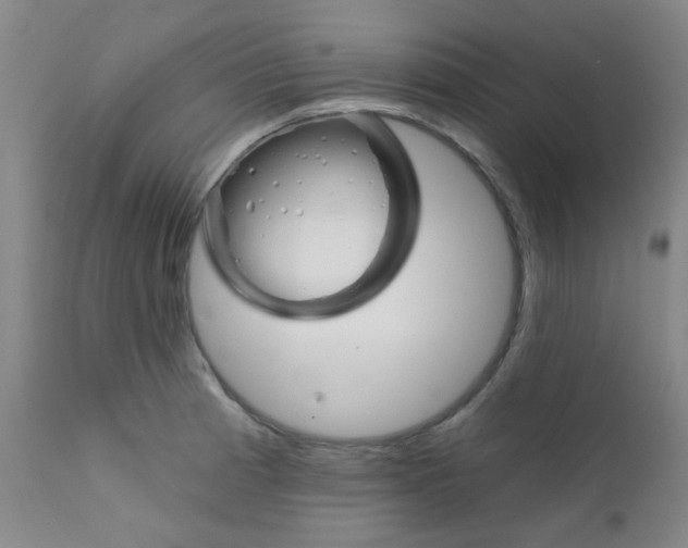 X0000111621185200907171057