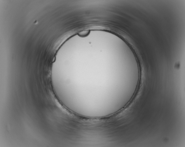 X0000111621193200907171056