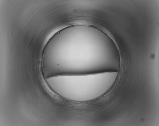 X0000111621195200907171056