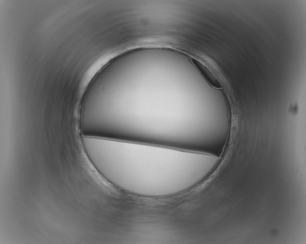 X0000111621196200907171056