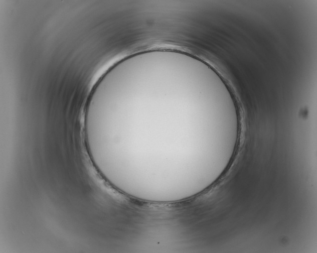 X0000111621198200907171056
