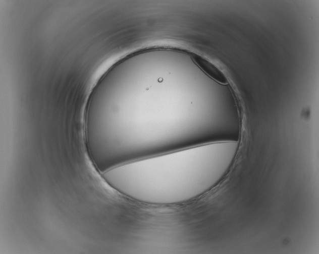 X0000111621199200907171056