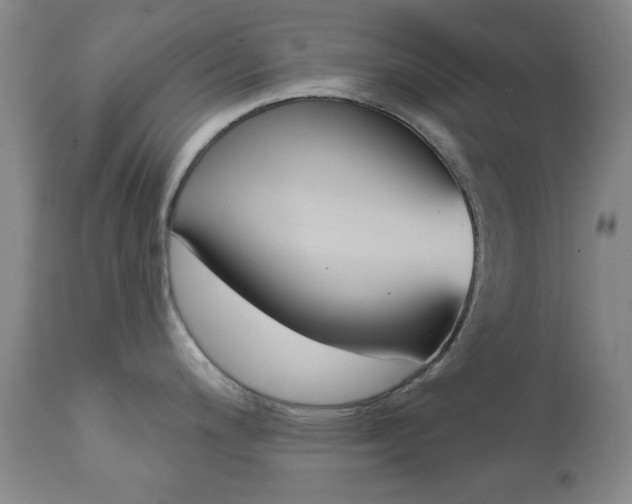 X0000111621200200907171056