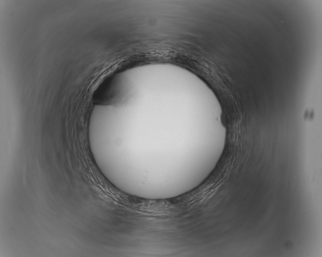 X0000111621201200907171055
