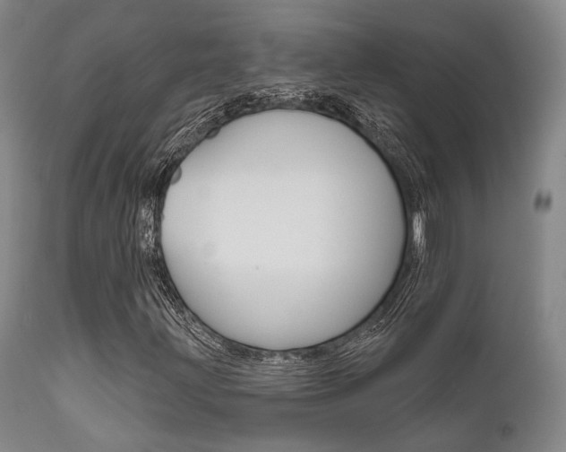 X0000111621203200907171055