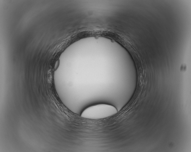 X0000111621204200907171055