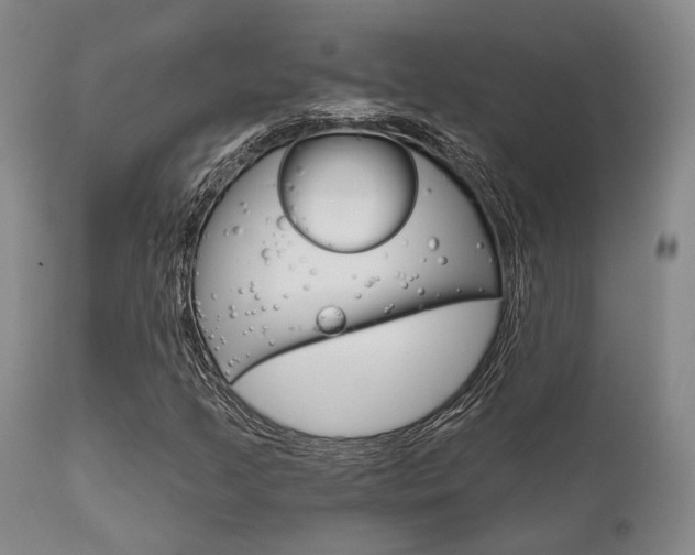 X0000111621205200907171055