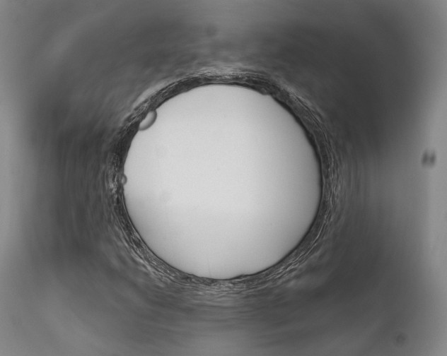 X0000111621206200907171055