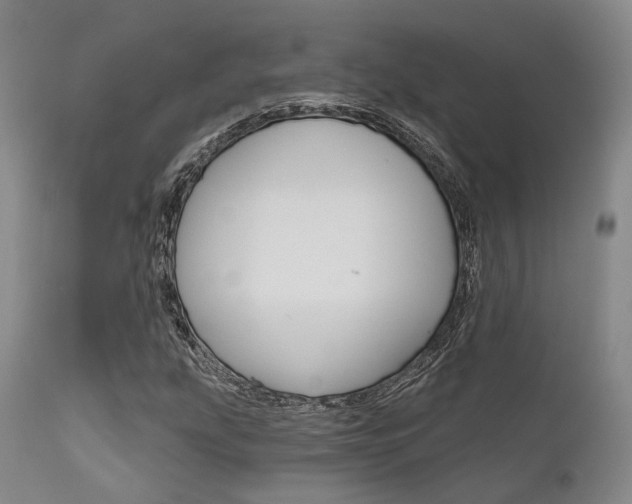 X0000111621207200907171055