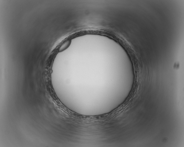 X0000111621208200907171055
