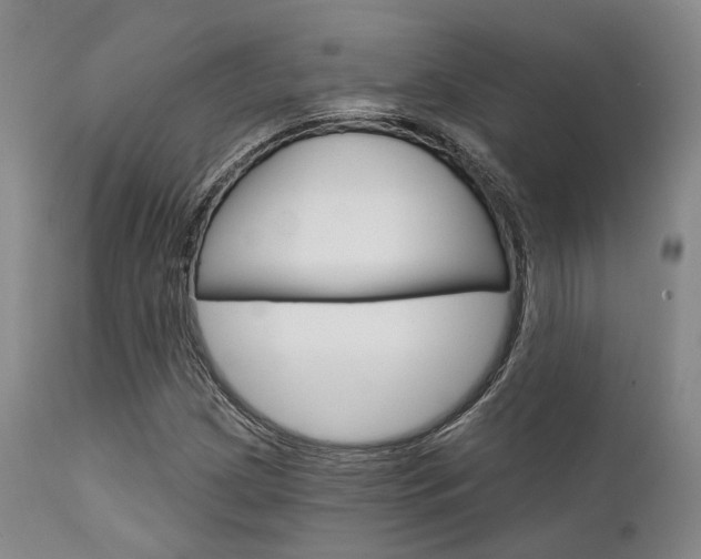 X0000111621209200907171056