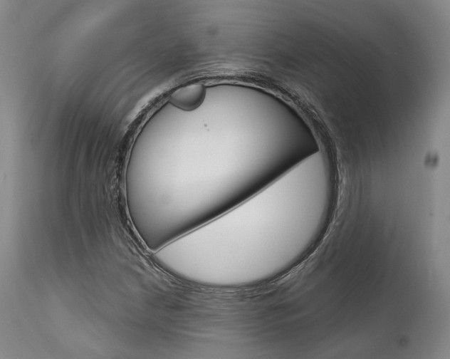 X0000111621210200907171056