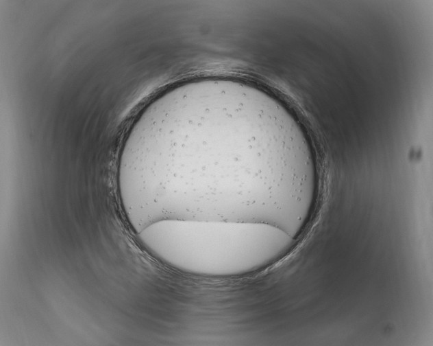 X0000111621211200907171056