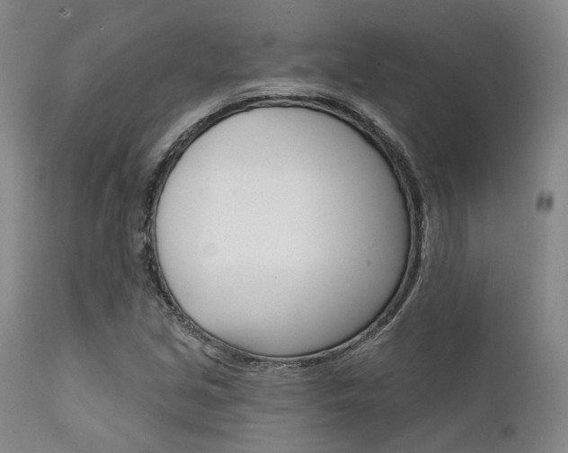 X0000111621213200907171056