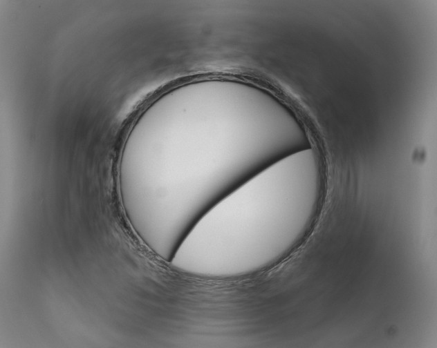 X0000111621214200907171056