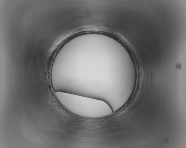 X0000111621215200907171056