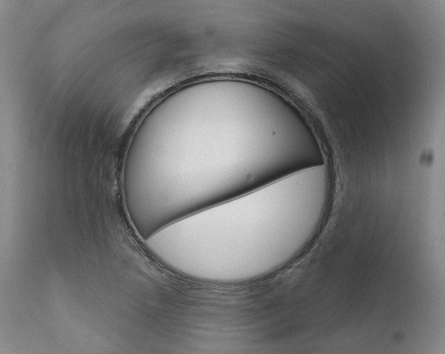 X0000111621218200907171056