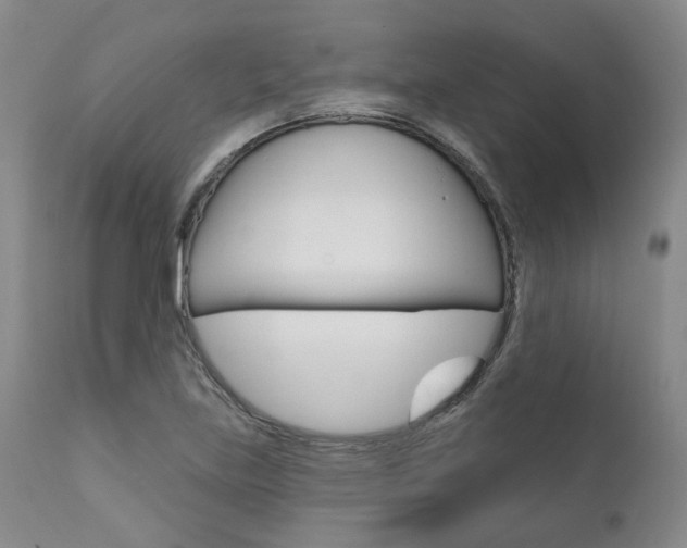 X0000111621219200907171056