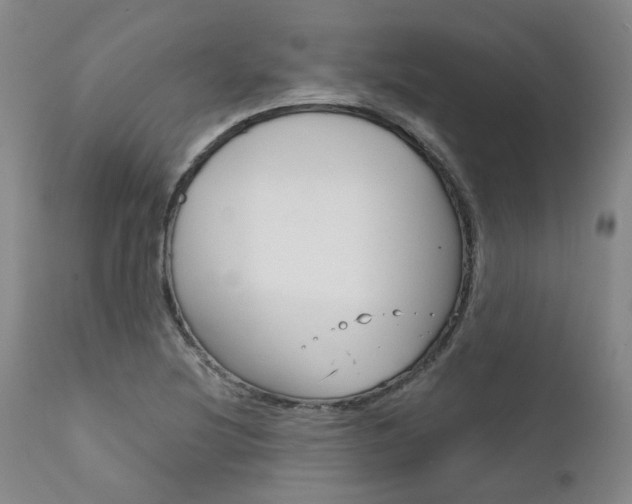 X0000111621220200907171056