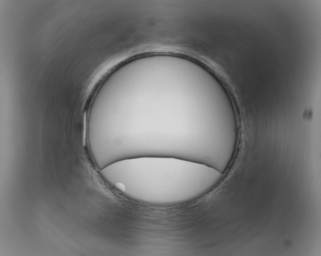 X0000111621223200907171056