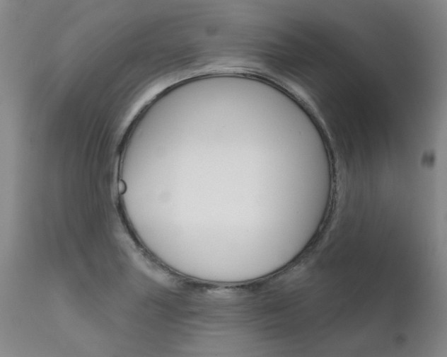 X0000111621227200907171056