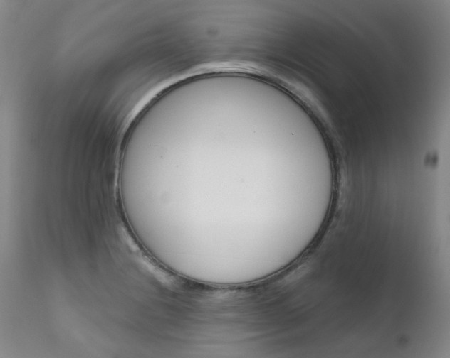 X0000111621228200907171056