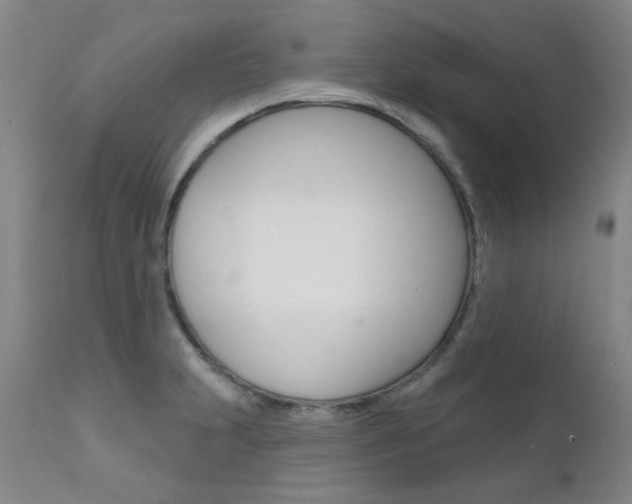 X0000111621231200907171056