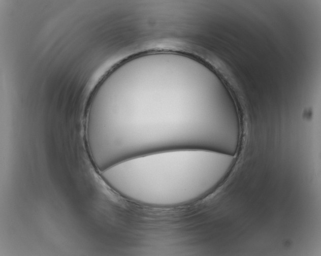 X0000111621232200907171056