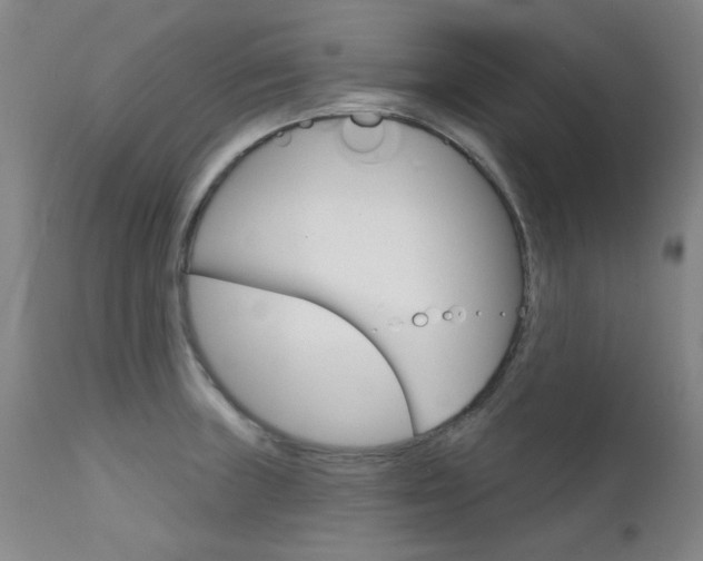 X0000111621235200907171056