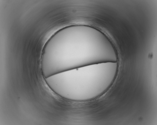 X0000111621236200907171056