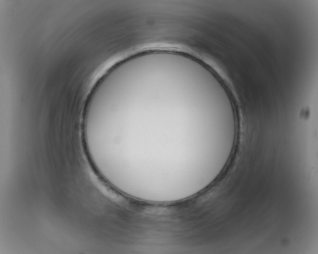 X0000111621237200907171056