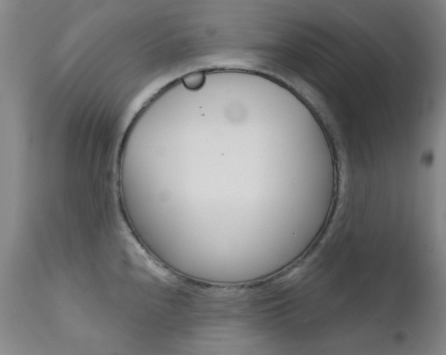 X0000111621240200907171056