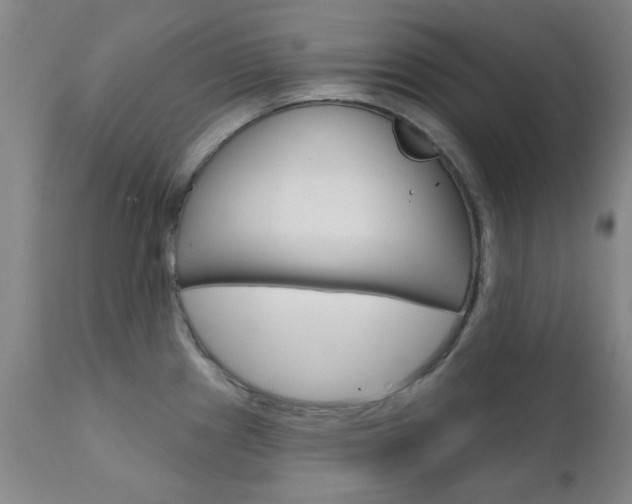 X0000111621241200907171056