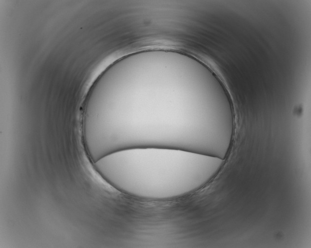 X0000111621243200907171056